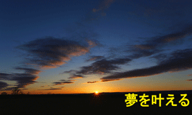 郵便物転送