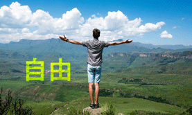 法人登記